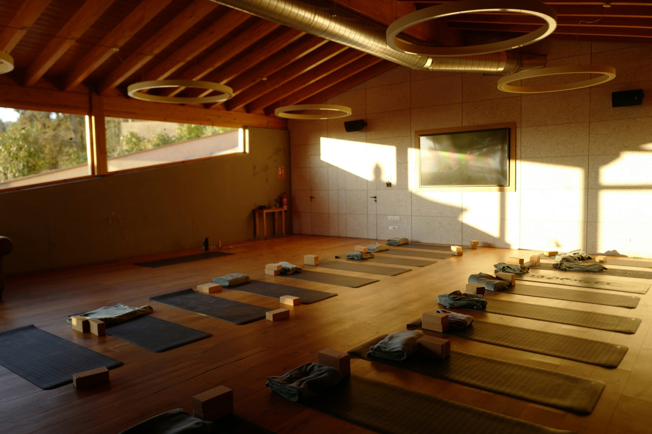 Benjamin Ligan hot yoga studio — Notes from Hot Yoga by Ben Ligan